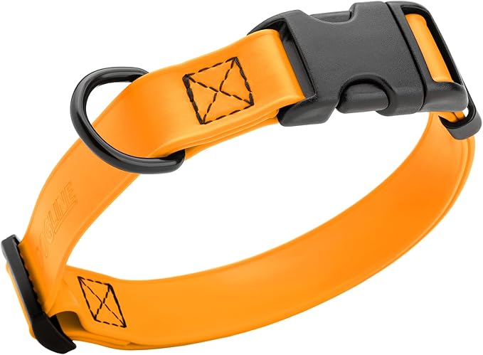 Dogline Durable Biothane Waterproof Collar for Dogs - Odor-Resistant Coated Webbing, Quick-Release Design, Comfortable Adjustable Fit, 3/4" W by 12-19" L,Tangerine Orange