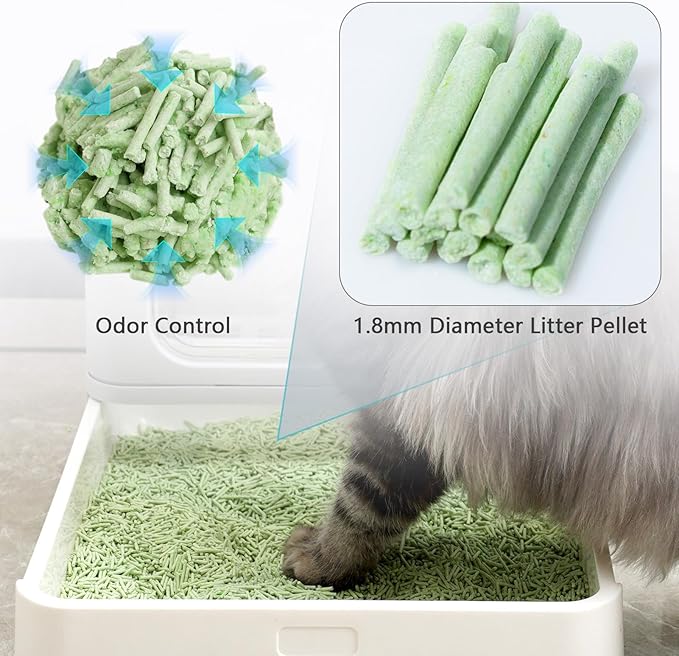 Raki Venus Tofu Cat Litter - Strong Clumping, Ultra Absorbent, Odor Control, Flushable, Low Tracking, Low Dust Tofu Litter Pellets 2 Packs/12LB (Green Tea)