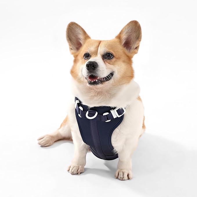 HNS1002J Arlo Medium Adjustable Soft Padded No Pull Pet Harness with 3 Buckles and 3 Leash Clips, Highball
