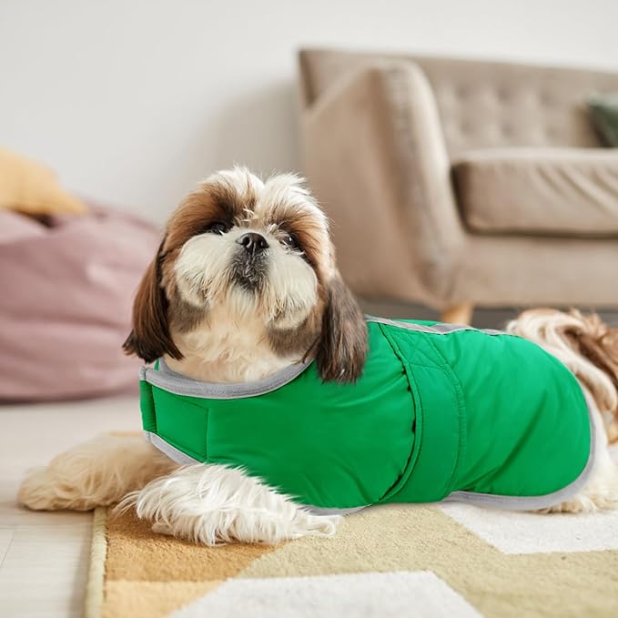 Queenmore Dog Winter Coat, Cold Weather Fleece Jacket for Dogs, Waterproof Reflective Reversible, for Small, Medium and Large Dogs (Green, XL)