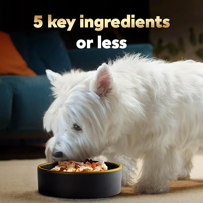 Cesar Simply Crafted Adult Wet Dog Food Meal Topper, Chicken, Carrots, Barley & Spinach, 1.3 oz. Tubs, 10 Count (Pack of 1)