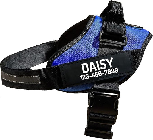 PawPawify Custom No Pull Dog Harness with Name and Phone Number, Heavy Duty Personalized Pet Vest to Prevent Tugging, Pulling, or Choking, Training and Walking (Blue, L (Chest 23-30in))