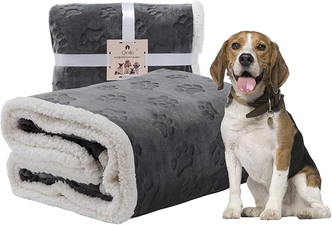 Qeils Waterproof Blanket for Bed Intimacy, Dog Blankets for Large Dogs, Waterproof Cat Blanket Washable, Soft Sherpa Fleece Puppy Blanket, Reversible Throw Protector for Couch Car, 50"X60", Dark Grey