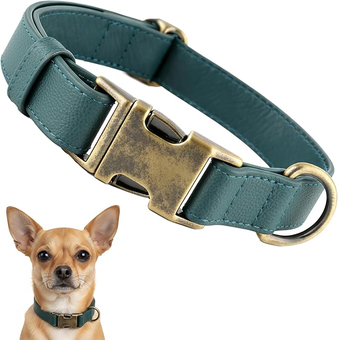 Dog Collars for Small Dogs Silicone Leather Dog Collars Soft Flexible Waterproof Odor-Proof Durable Thick Classic Adjustable Pet Puppy Collar (Green, Small (9-14" Neck))
