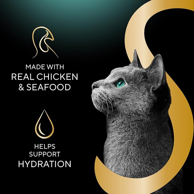 Sheba Selections Filets in Broth Adult Wet Cat Meal Complement Chicken Recipe, 1.3 oz. Cups, 12 Count