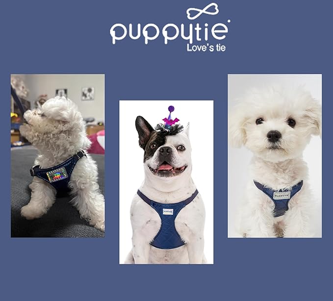 Puppytie No Pull xs Dog Harness with Multifunction Dog Leash,Soft Adjustable No Choke Escape Proof Pet Harness Vest,Glossy Sapphire Blue,XXS