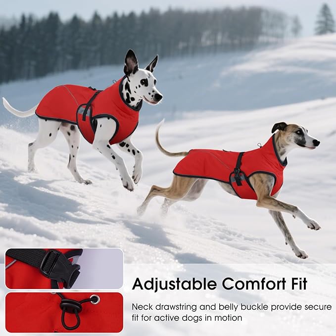 QBLEEV 2 in 1 Dog Coat, Waterproof Dog Winter Jacket with Detachable Fleece Vest, Windproof Warm Snow Jakcet with Harness Hole, Reflective Cold Weather Coats for Small Medium Large Dogs