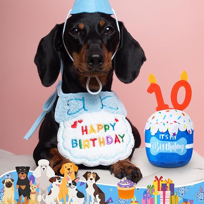 Dog Birthday Cake Toy Accessories for Girl Boy Gifts, Squeaky Plush Toy for Dog Birthday Party Decor Favor for Large, Medium and Small Dogs(10th,Blue)