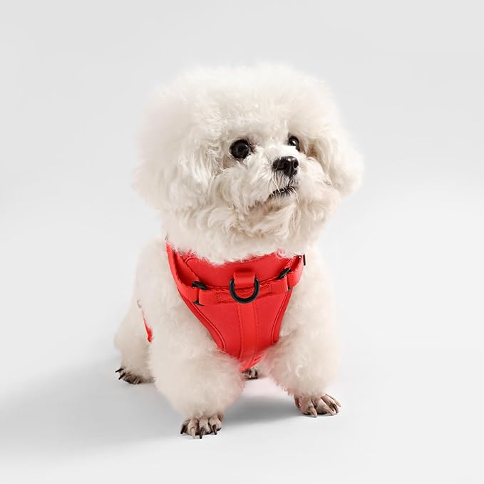 HNS1000M Arlo Extra Small Adjustable Soft Padded No Pull Pet Harness with 3 Buckles and 3 Leash Clips, Shirley