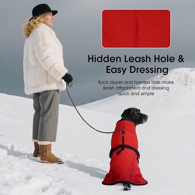 QBLEEV 2 in 1 Dog Coat, Waterproof Dog Winter Jacket with Detachable Fleece Vest, Windproof Warm Snow Jakcet with Harness Hole, Reflective Cold Weather Coats for Small Medium Large Dogs