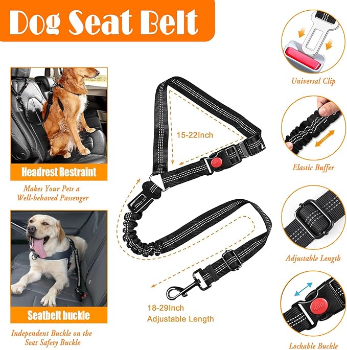 No Pull Dog Harness, Collar & Leash Set | Includes Dog Seat Belt, Collapsible Bowls & Poop Bag Dispenser. Ideal for Training, Walking, Hiking. Fits Small to Large Dogs(Blue-L)
