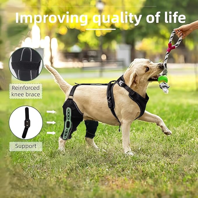 Dog Knee Brace for ACL/CCL Injuries,Torn Ligament,Pain Relief,Joint Warmth,Luxating Patella - Rear Leg Support,Black,Both Legs,Size:Customized