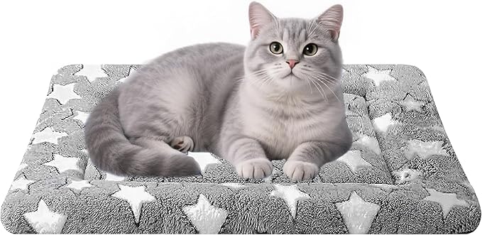 Dog Bed Mat - Comfortable Dog Kennel Pad, Multi-Purpose Crate Bed Mats for Dogs & Cats (Gray, 18" L x 14" W x 1.5" Th)