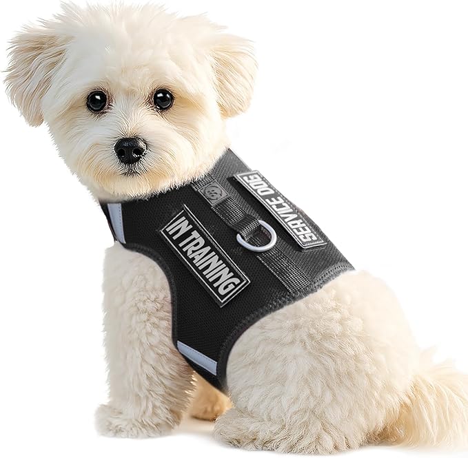 Dog Harness for Puppy – Adjustable Reflective Easy Put On Soft Mesh Vest for Small Dogs with 2 Patches (Black,M)