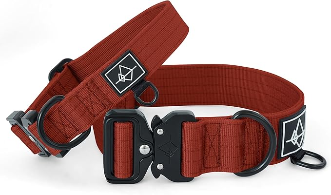 ROAM Made to ROAM Premium Dog Collar - Adjustable Heavy Duty Nylon Collar with Quick-Release Metal Buckle (Texas Flair, Size 0)