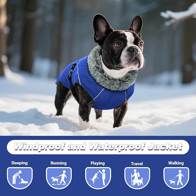 DENTRUN Winter Warm Dog Coat Reflective Jacket with Turtleneck for Cold Weather, Adjustable Buckle Windproof Water Repellent, Thick Snowsuit Fleece Vest for Small, Medium, Large Dogs, Blue, XXL