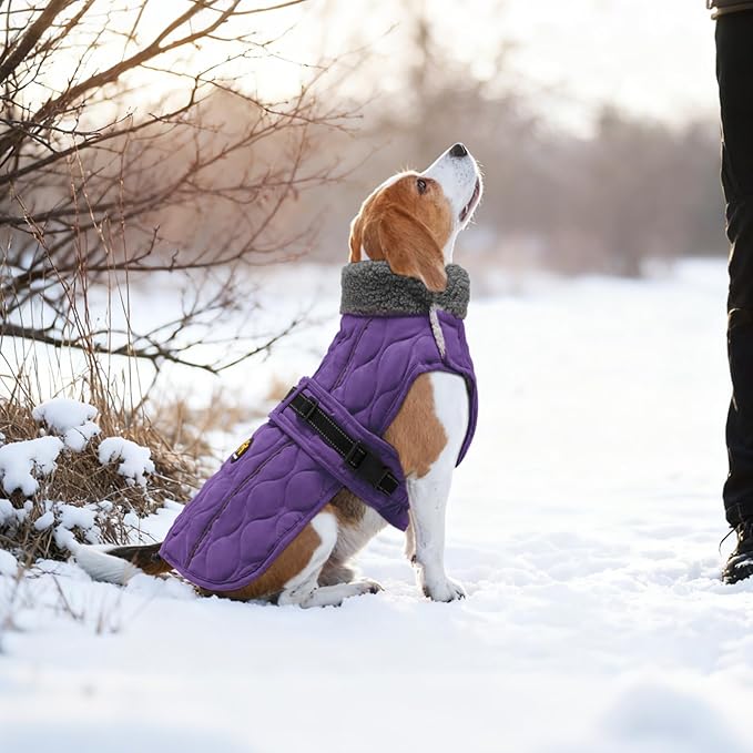 Dog Coats, Warm Puppy Apparel with Fleece Lining for Cold Weather, Windproof Medium Dog Winter Jacket, Reflective Dogs Snow Coat with Leash Hole and Adjustable Buckle, NewPurple M