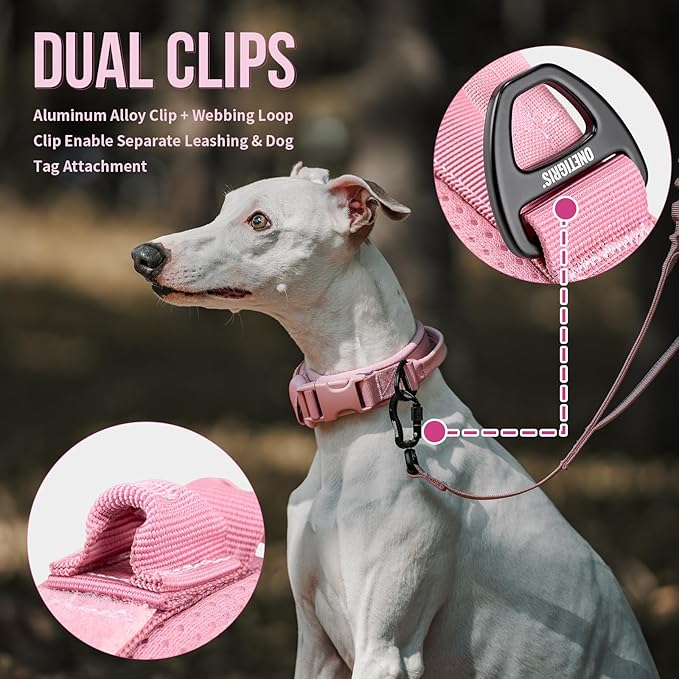 OneTigris Small Dog Collar with Handle, Soft and Adjustable Nylon Collar with Quick-Release Buckle, Lightweight No-Choke Design for Small Dogs(Pink, XS)