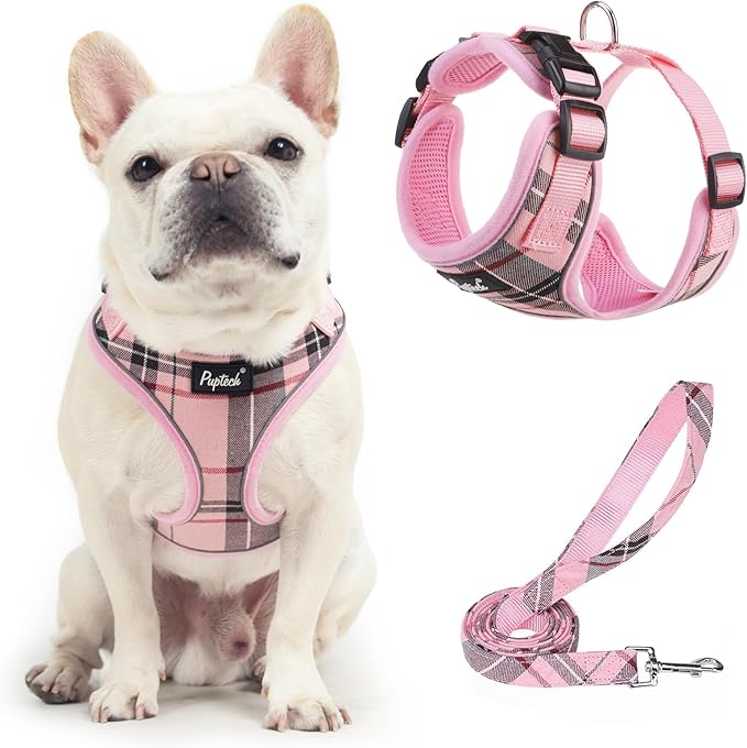 PUPTECK Soft Mesh Dog Harness and Leash Set Pet Puppy Cat Adjustable Reflective Padded Vest No Pull Harnesses, Pink, M