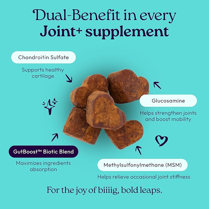 WellJoy Dog Supplement Joint+ GutBoost | Dog Health Supplement | Supports Healthy Flexible Joints | Dual-Benefit GutBoost Formulation | Vet Formulated | USA Made | Chicken Flavor | 90 Soft Chews