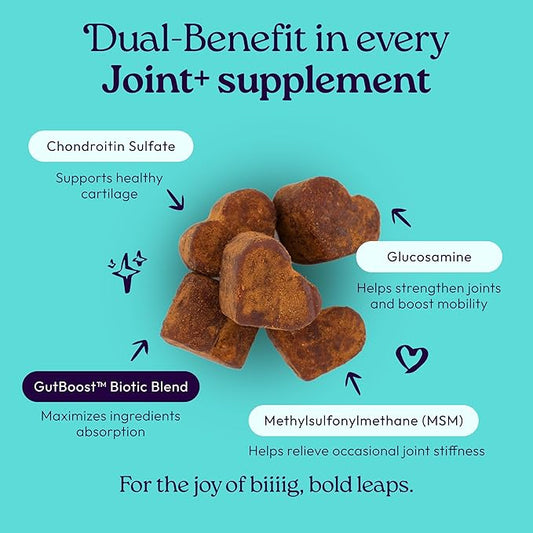 WellJoy Dog Supplement Joint+ GutBoost | Dog Health Supplement | Supports Healthy Flexible Joints | Dual-Benefit GutBoost Formulation | Vet Formulated | USA Made | Chicken Flavor | 90 Soft Chews