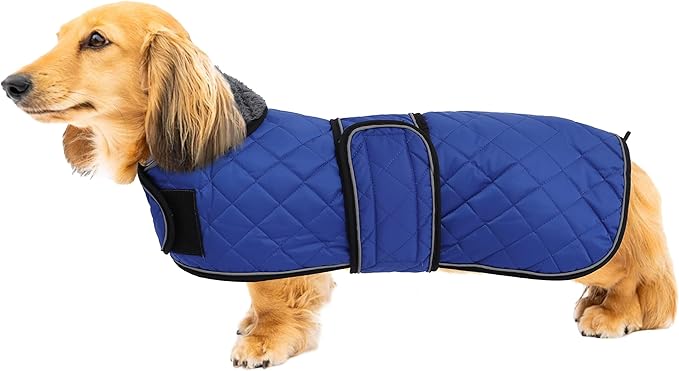 Warm Thermal Quilted Dachshund Coat, Dog Winter Coat with Warm Fleece Lining, Outdoor Dog Apparel with Adjustable Bands for Medium, Large Dog-Blue-L