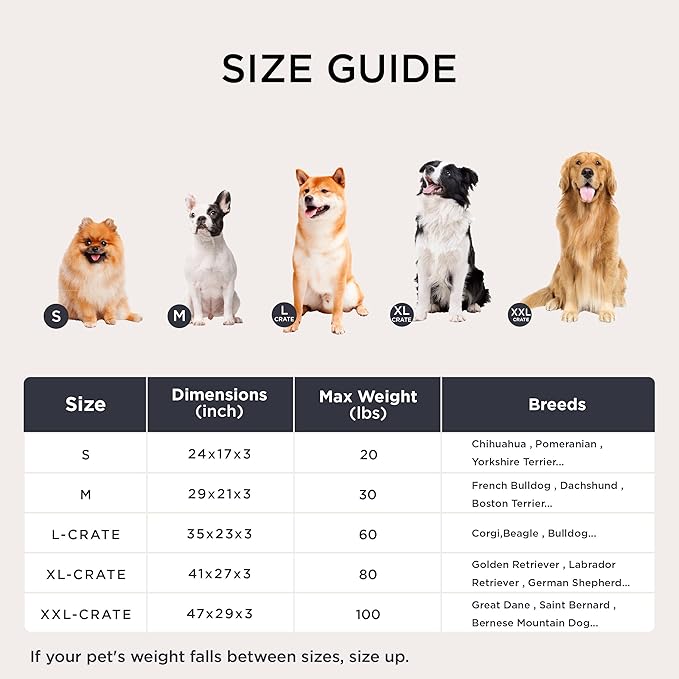 Bedsure Washable XXL Dog Bed for Crate, Giant Comfort Fluffy Plush Pet Pillow Bed Kennel Pad with Non-Slip Bottom, Machine Washable Pet Sleeping Mat for Jumbo, 47"x29", Brown