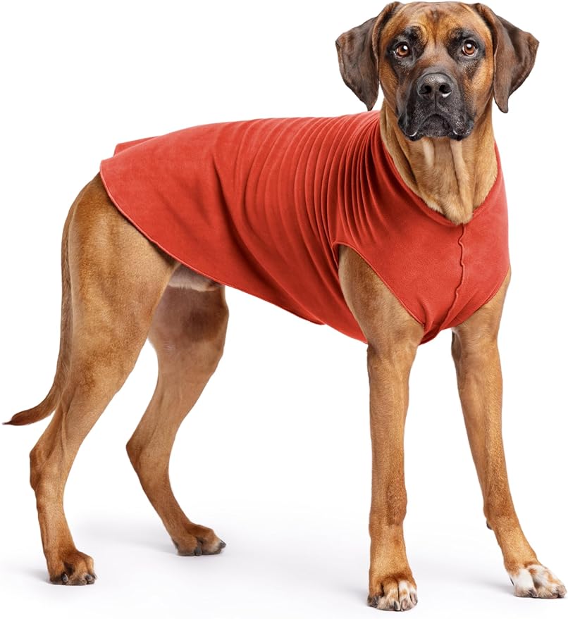 Goldpaw Stretchy Fleece Jacket for Small Dogs - Super Soft, Warm Dog Sweater - Pet Sweater Vest for Fall and Winter - Canine Clothes Made in The USA - Machine Washable - Paprika - Size 26