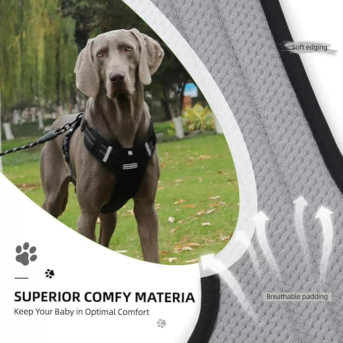 Dog Harness No Pull Adjustable Reflective,for Medium and Large Small Dog with Leash 59.06in (Black, S)