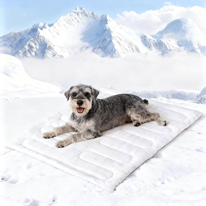 Dog Cooling Mat, Reversible Self-Cooling Mat for pet, Cool Fabric Top & Velvet Back, Portable Ice Cool Fabric Dog Bed, Easy Washable Summer Pets Cool Pad for Indoor Outdoor (M(35.8″*22.8″))