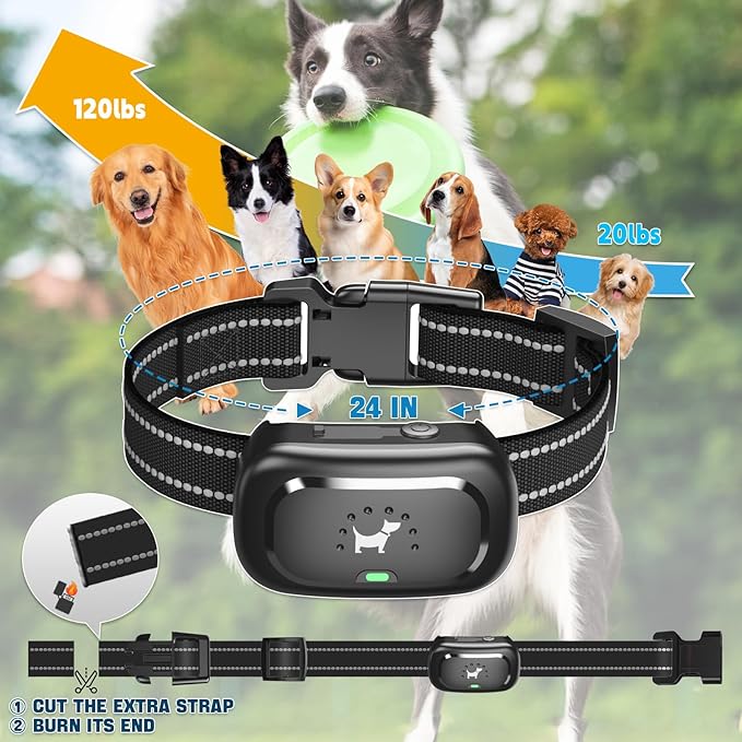 Dog Shock Collar for 2 Dogs - [2025 Newly Upgraded] Dog Training Collar with Remote,Rechargeable E-Collars Waterproof Collars with Unique Shock-Lock Keypad for Large Medium Small Dogs All Breeds