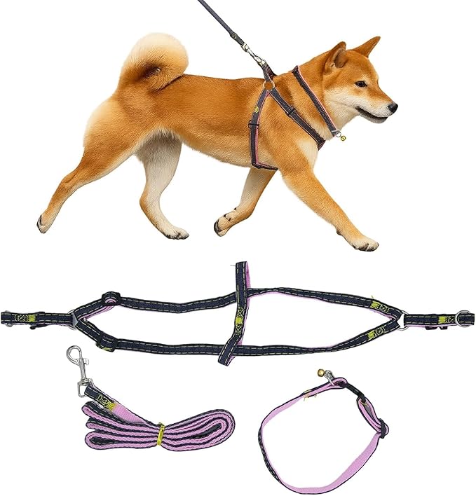 No Pull Dog Harness with Front Clip & Leash Set for Small & Medium Dogs – Adjustable Dog Walking Vest with Soft Padding, Collar & Easy Control Handle - Pink (Medium)