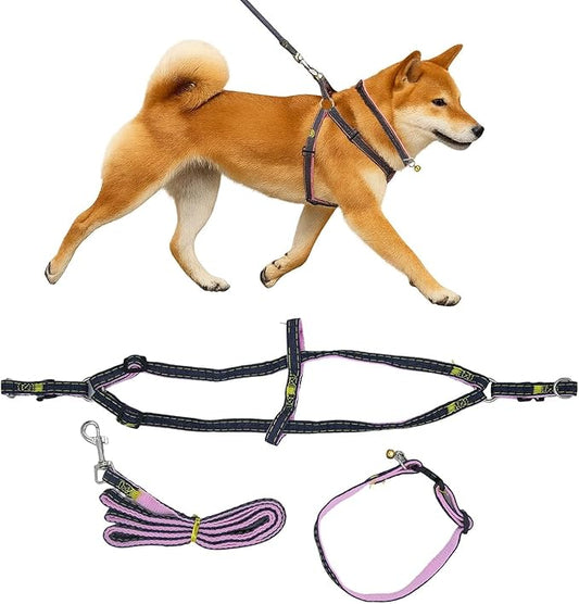 No Pull Dog Harness with Front Clip & Leash Set for Small & Medium Dogs – Adjustable Dog Walking Vest with Soft Padding, Collar & Easy Control Handle - Pink (Medium)