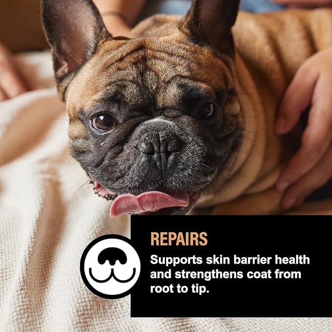Dog Skin & Coat Lotion – Fragrance-Free Moisturizing Dog Treatment for Dry, Itchy Skin – Hydrating Skin & Coat Supplement for Pups – 4 fl oz
