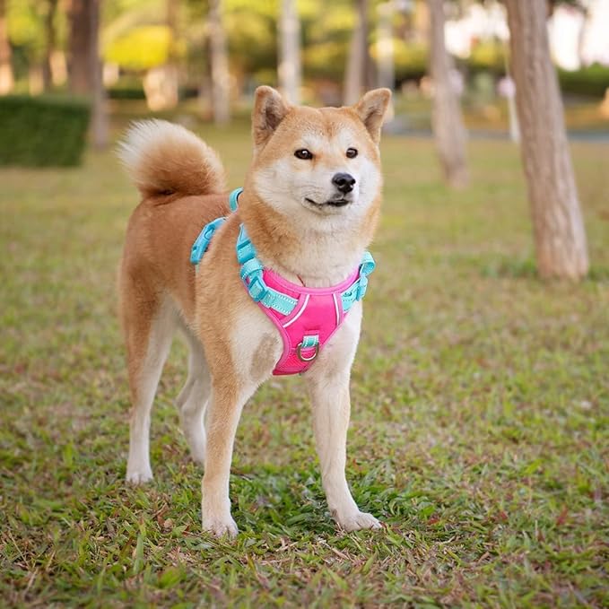 PHOEPET No Pull Dog Harness, Unique Colors Reflective Adjustable Dog Vest, with Soft Training Handle Metal Clips for Small Medium Large Dogs (Pink Base & Green Straps,S)
