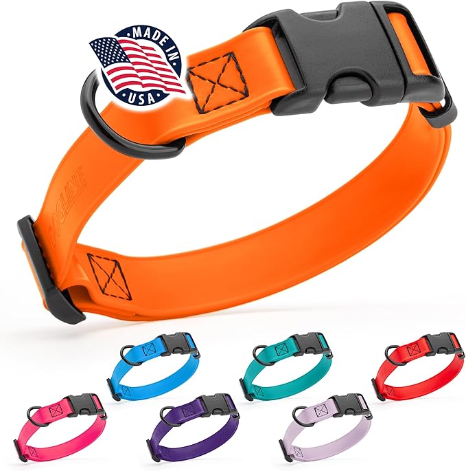 Dogline Durable Biothane Waterproof Collar for Dogs - Odor-Resistant Coated Webbing, Quick-Release Design, Comfortable Adjustable Fit, 1" W by 15-25" L, Hunter Orange