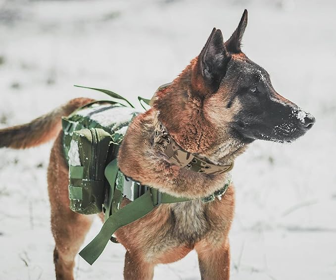 Tactical Dog Collar with Handle - Military Adjustable Dog Training Collar Soft Nylon and Heavy Duty Metal Buckle for Medium Large Dogs - with Patch (Camo with Patch, Large)