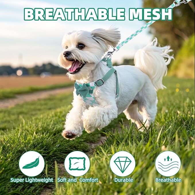 PUPTECK Dog Harness and Leash Set Small Sized, Step-in Cute Puppy Harness, Soft Lightweight Padded Vest, Escape Proof No Pull Pet Harnesses Easy for Walking, Plaid Green & White, XXS