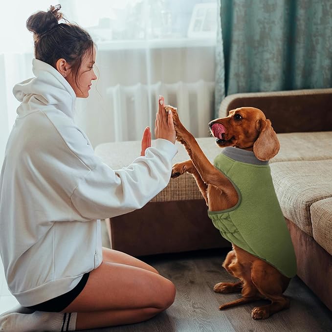Queenmore Dog Sweater, Soft Fleece Vest Pullover Dog Jacket with Elastic Stretchable, Warm Winter Dogs Coats Cold Weather Doggy Dachshund Sweaters for Small Dogs Cats Boy or Girl (Green, XL)