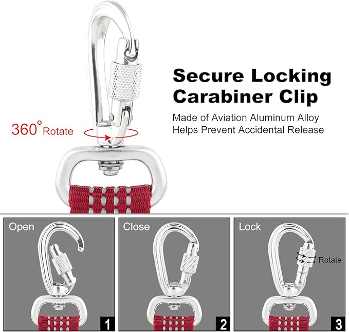 Plutus Pet Heavy Duty Dog Leash with Lockable Aluminum Carabiner, 4/6 Feet Long, Double-Sided Reflective Nylon, Padded Handle, for Puppy, Small, Medium and Large Dogs (Burgundy Red, 4/5" x 6')
