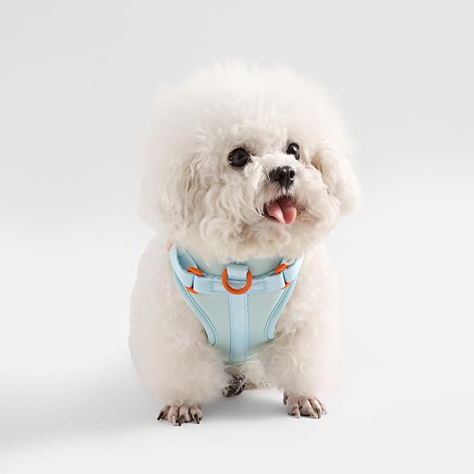 HNS1000D Arlo Extra Small Adjustable Soft Padded No Pull Pet Harness with 3 Buckles and 3 Leash Clips, Fishbowl