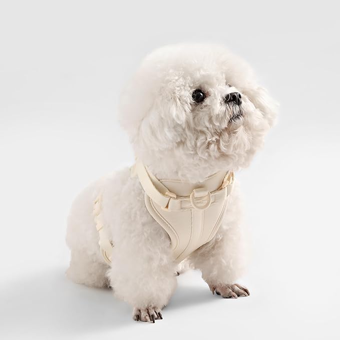 HNS1000L Arlo Extra Small Adjustable Soft Padded No Pull Pet Harness with 3 Buckles and 3 Leash Clips, Bailey