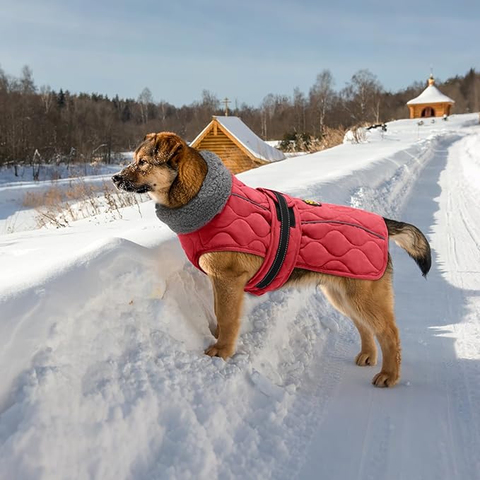 Dog Coat Winter, Waterproof Quilted Dog Jacket for Cold Weather, Reflective Adjustable Puppy Winter Coat, Warm Turtle-Neck Pet Fleece Snow Jacket for XX-Large Dogs, NewRed XXL