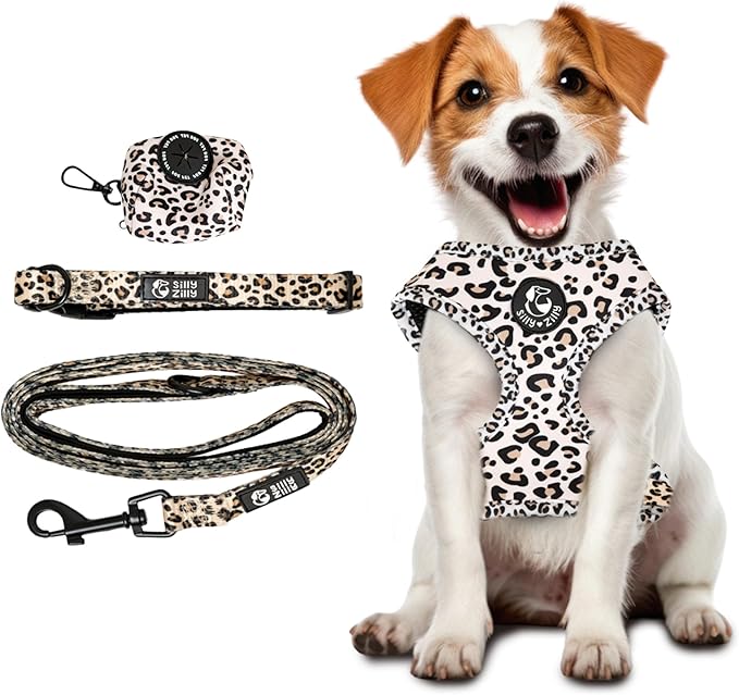 4-Piece Leopard Print Dog Set, Harness with Leash, Collar and Waste Bag Dispenser, Matching Coordinated Bundle (Medium)