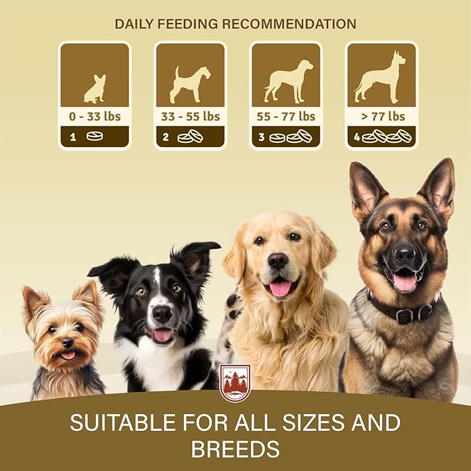 Dog Joint Supplement Tablets – Hip & Joint Support with Glucosamine, Chondroitin, MSM & Turmeric – Mobility, Flexibility & Comfort Aid for Large & Small Breeds – Vet Recommended