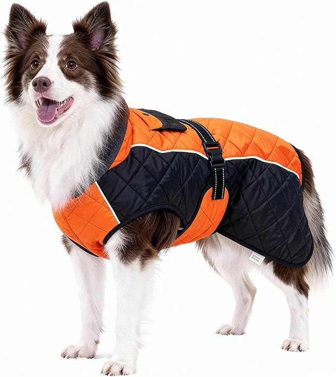 Dog Coat Dogs Jacket Waterproof Reflective Adjustable Dog-Winter Coats for Small/Medium/Large Dogs Dachshund Coat-(Orange, X-Large)