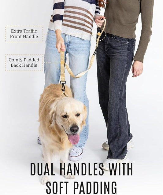 2025 New Edition, Fei & Eve Classic Dog Leash - 4FT, Dual Padded Handles, 360° Swivel Hook, Heavy Duty 210D Nylon - No-Pull Design with Traffic Control Handle - for Small/Medium/Large Dogs, Champagne
