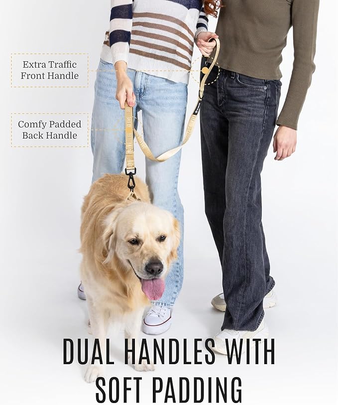 2025 New Edition, Fei & Eve Classic Dog Leash - 6FT, Dual Padded Handles, 360° Swivel Hook, Heavy Duty 210D Nylon - No-Pull Design with Traffic Control Handle - for Small/Medium/Large Dogs, Champagne