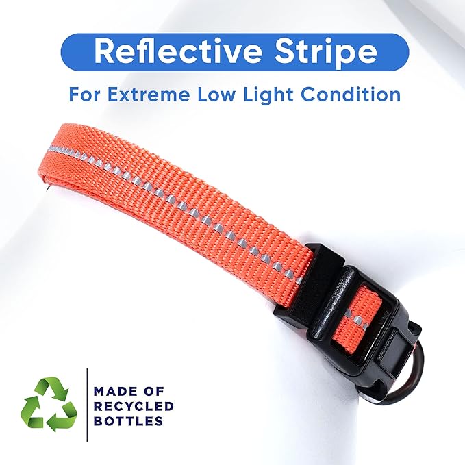 Pawtitas Recycled Dog Collar with Reflective Stitched Puppy Collar Made from Plastic Bottles Collected from Oceans Large Living Coral