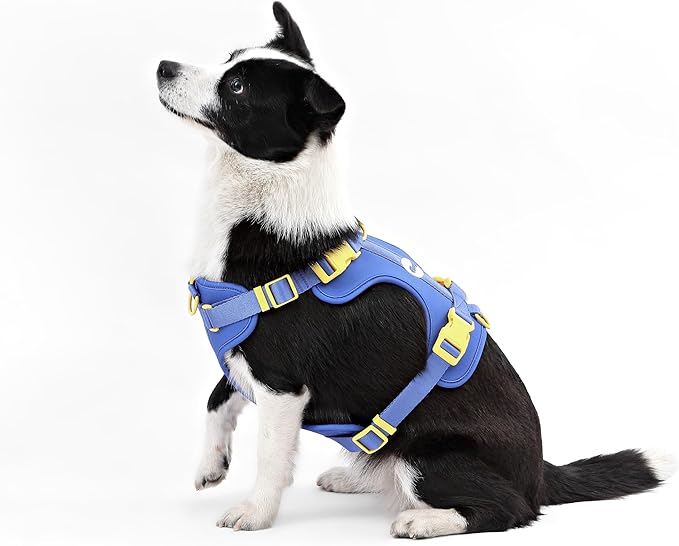 HNS1003C Arlo Large Adjustable Soft Padded No Pull Pet Harness with 3 Buckles and 3 Leash Clips, Curaçao
